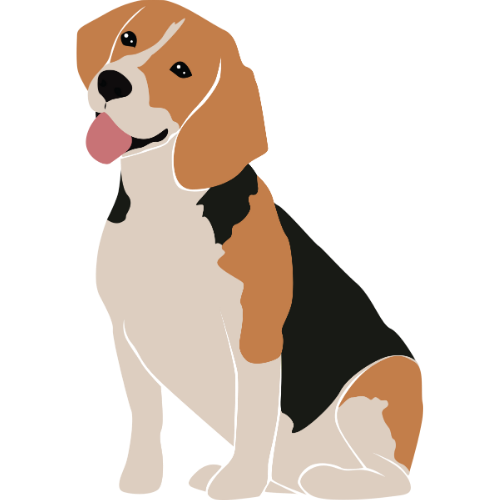 小獵犬